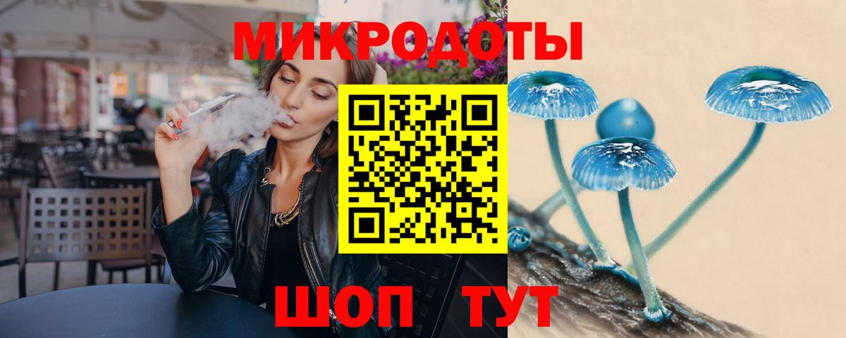 Псилоцибиновые грибы Psilocybine cubensis Новочеркасск