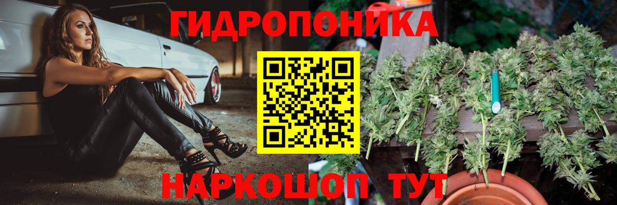 Бошки марихуана OG Kush  Вход с VPN  Канабис индика  Шишки марихуана ГИДРОПОН  Новочеркасск 